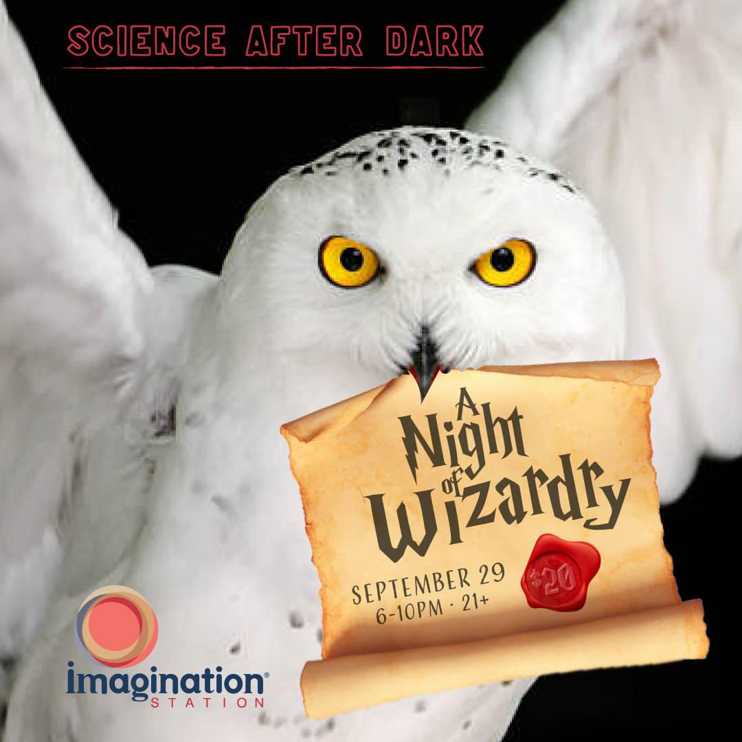 A Night of Wizardry