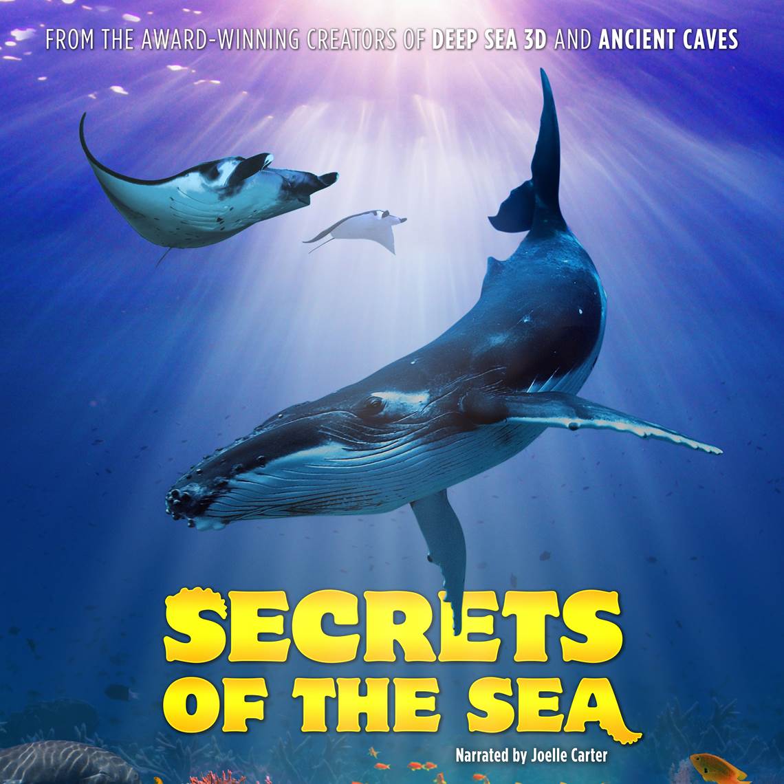 Secrets of the sea