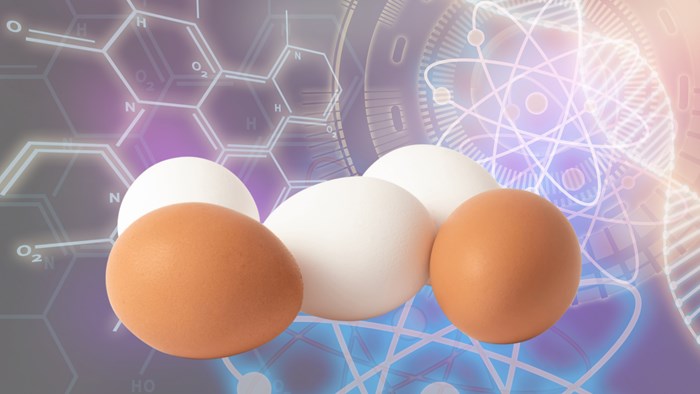 Egg Science