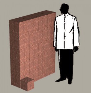 Man standing in front of wall of money